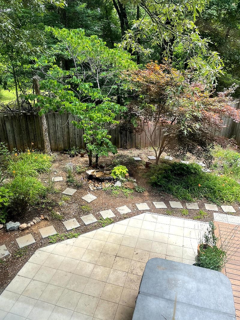 Looking down into the backyard