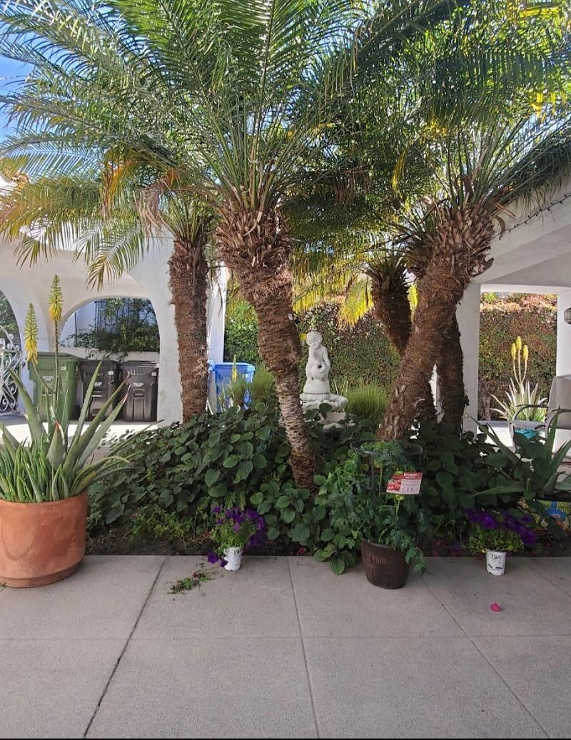 Furnished Finder property 308225_1 photo 13
