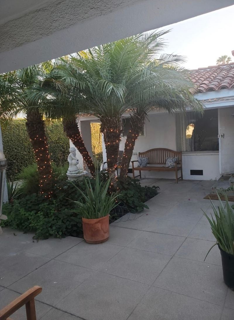Furnished Finder property 308225_1 photo 14