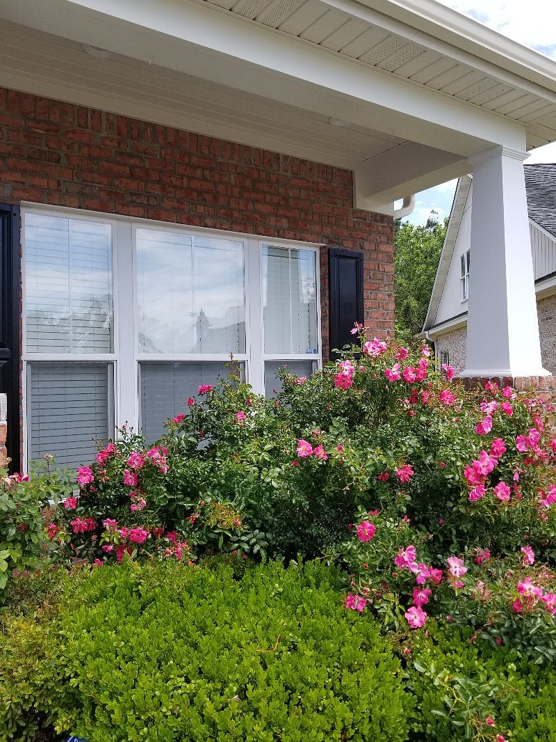 Furnished Finder property 308380_1 photo 12