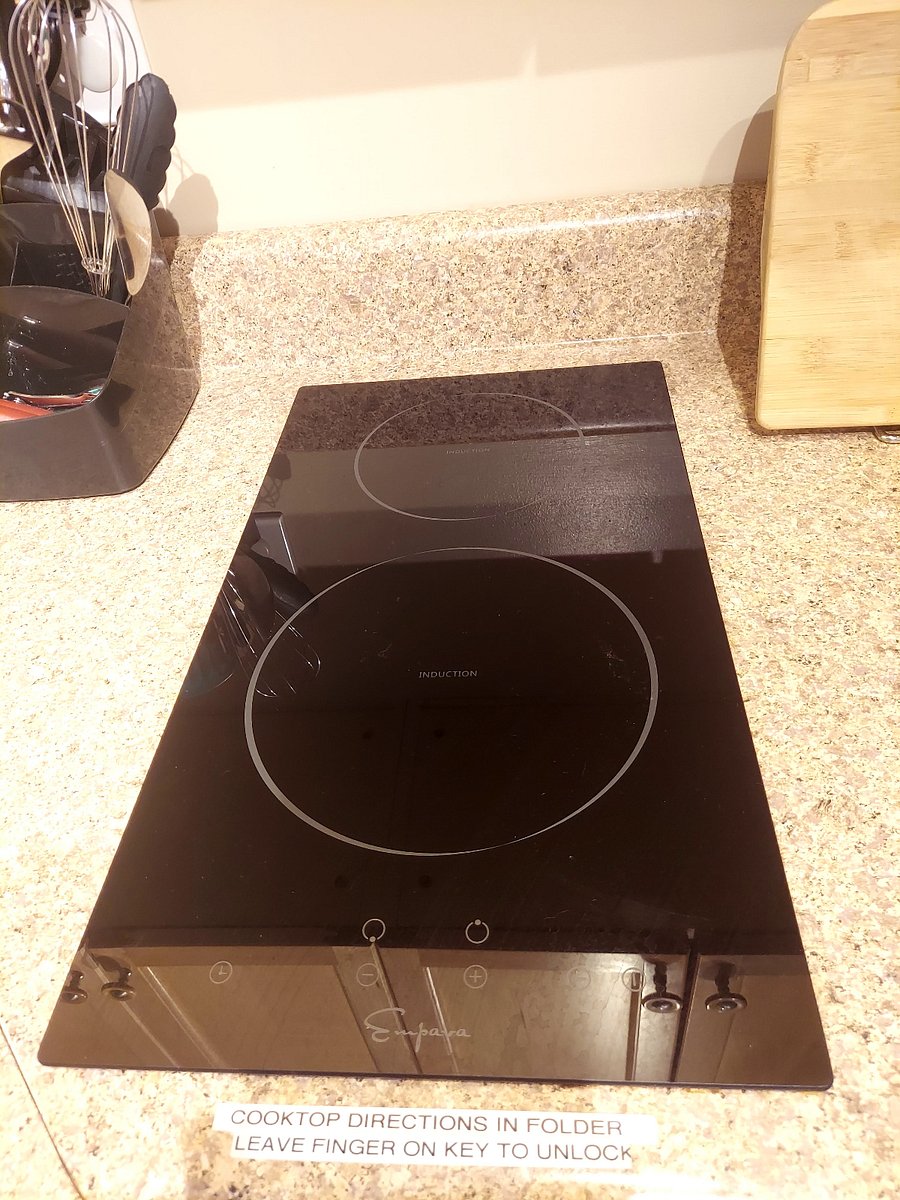 2 burner induction stove top