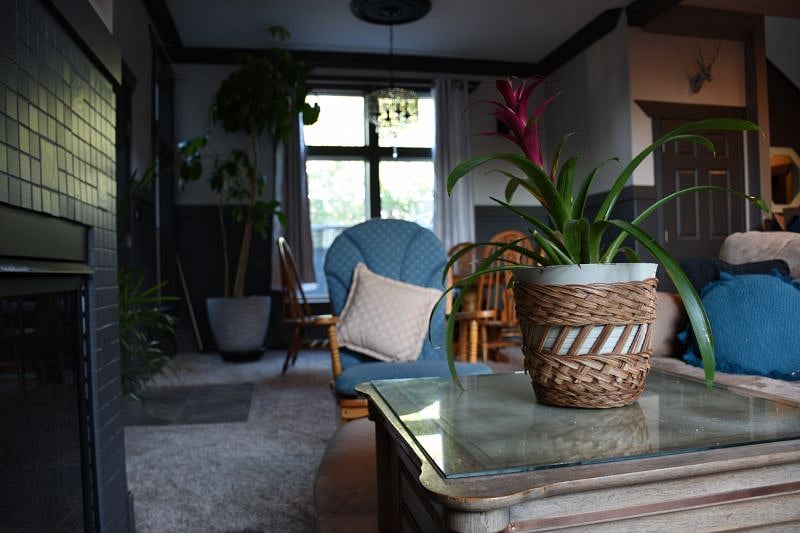 Furnished Finder property 314563_1 photo 4