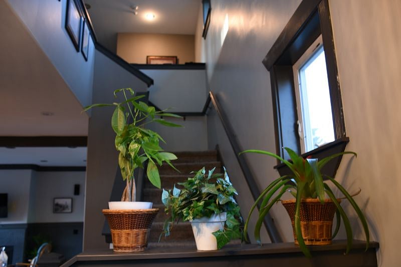 Furnished Finder property 314563_1 photo 7