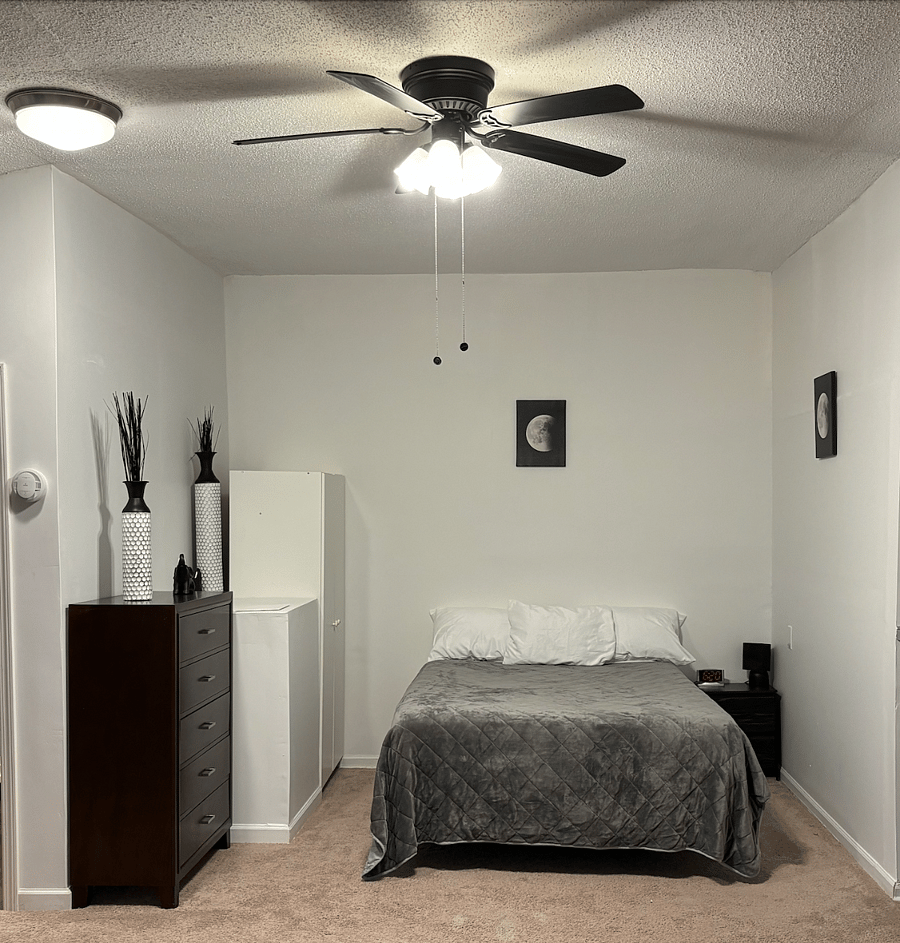 Furnished Finder property 314610_2 photo 6