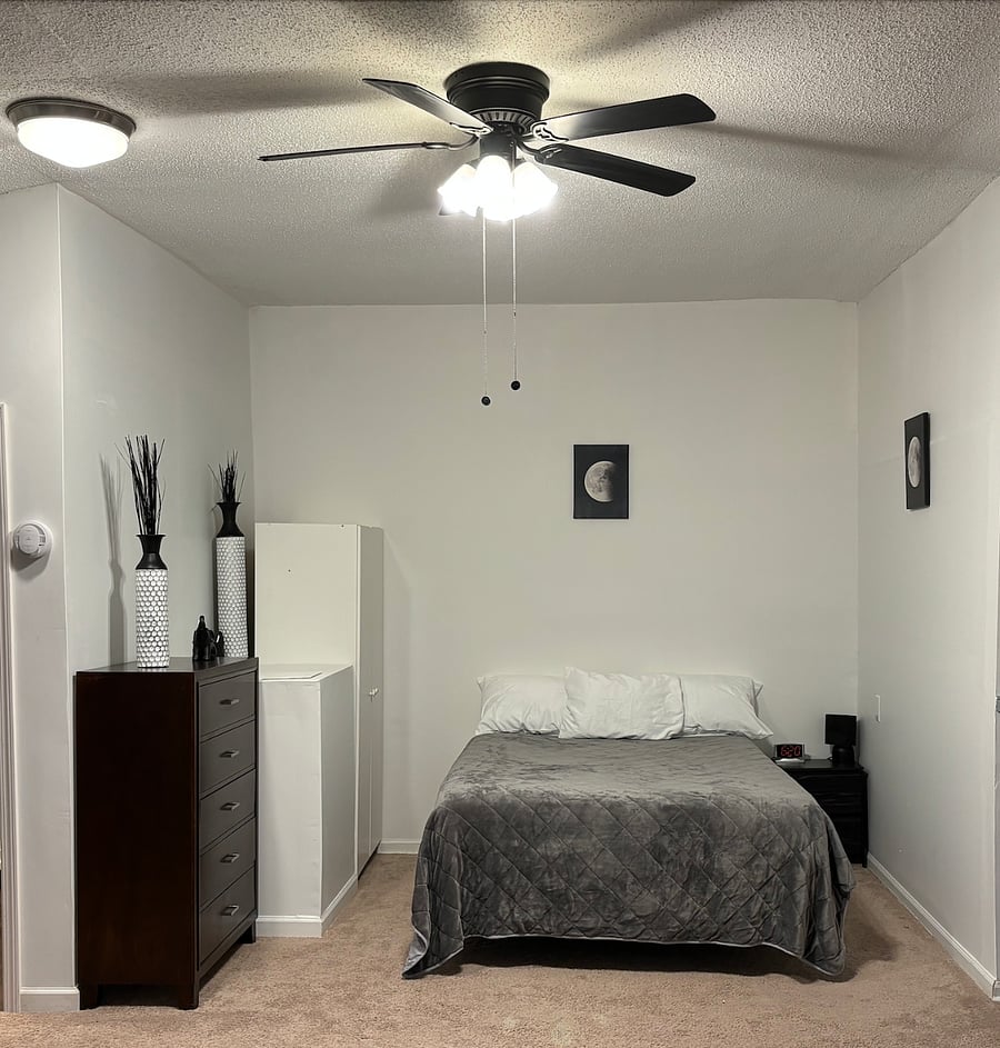 Furnished Finder property 314610_4 photo 3