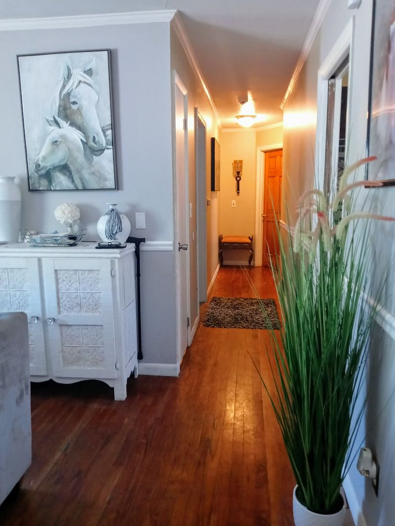 Furnished Finder property 314642_1 photo 6