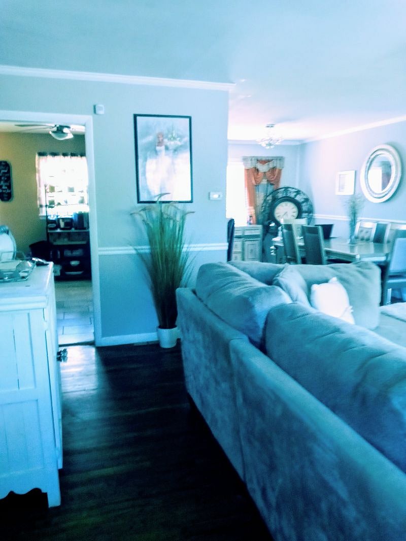 Furnished Finder property 314642_1 photo 7