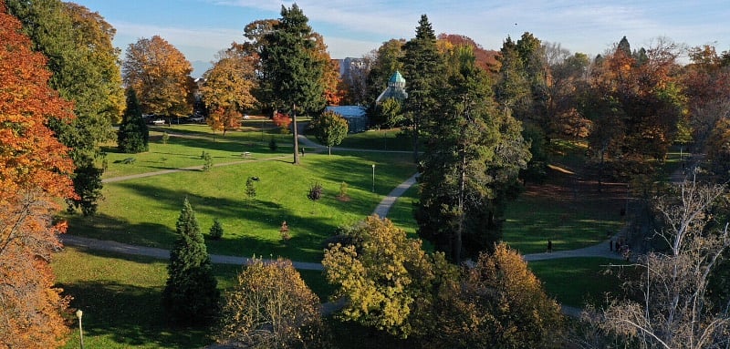 Wright Park, in the Stadium District, is a short walk from the apartment. Walking trails, lawn bowling, and the Seymour Conservatory make it a beautiful oasis in the neighborhood.
