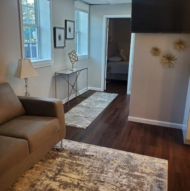 Furnished Finder property 314648_1 photo 3