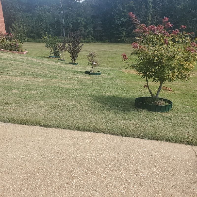 Furnished Finder property 314648_1 photo 22
