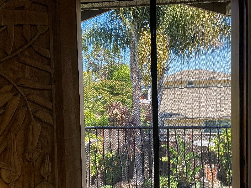 View out your screened front door.