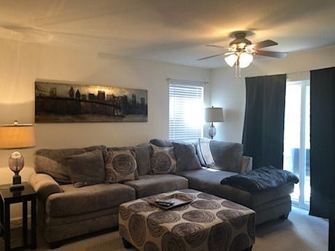 Furnished Finder property 314734_1 photo 4