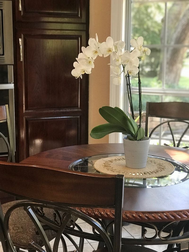 Furnished Finder property 314742_1 photo 17