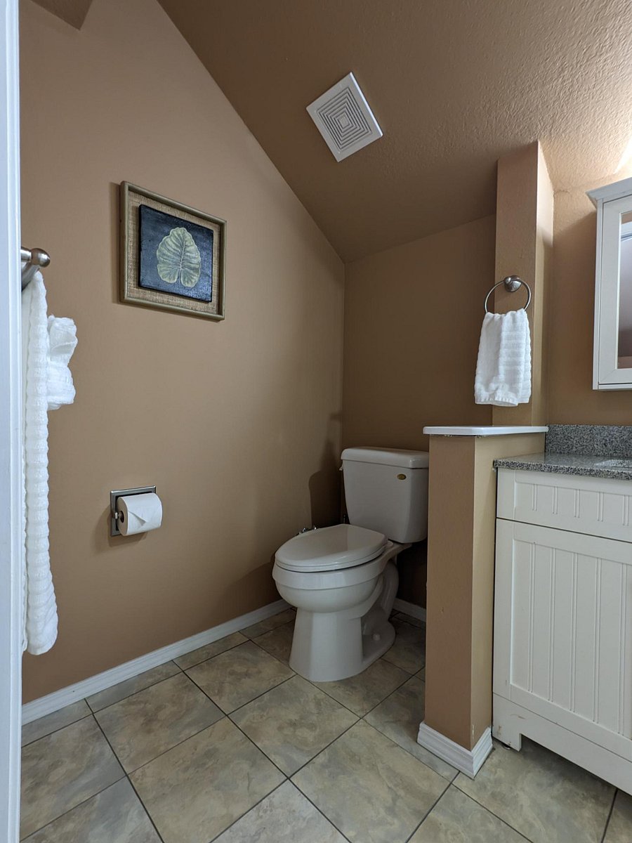 Furnished Finder property 314742_1 photo 7