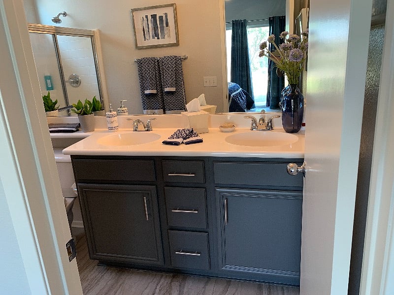 Dual sinks in the primary bathroom.