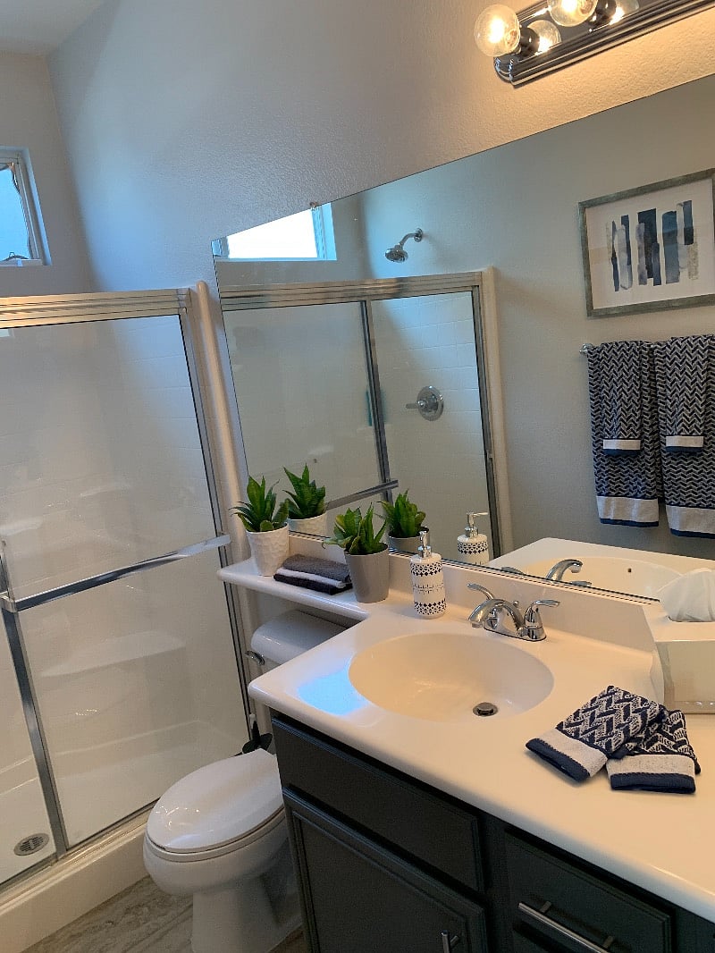 Furnished Finder property 314780_1 photo 16