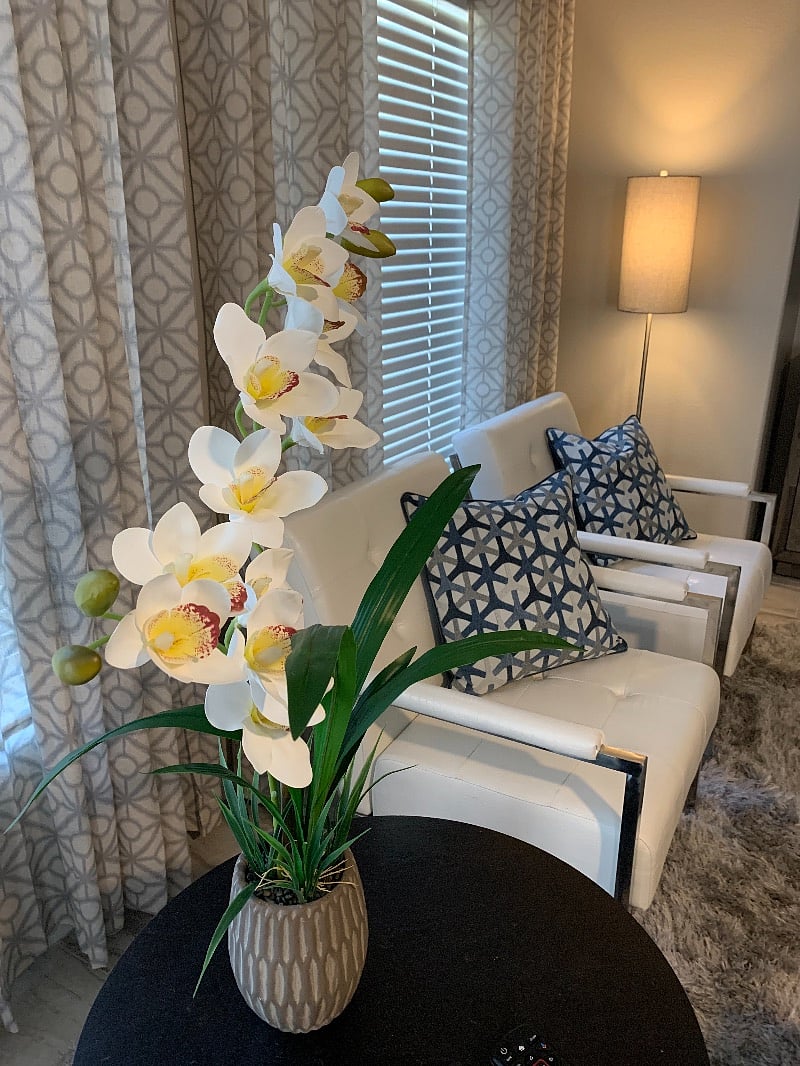 Furnished Finder property 314780_1 photo 30