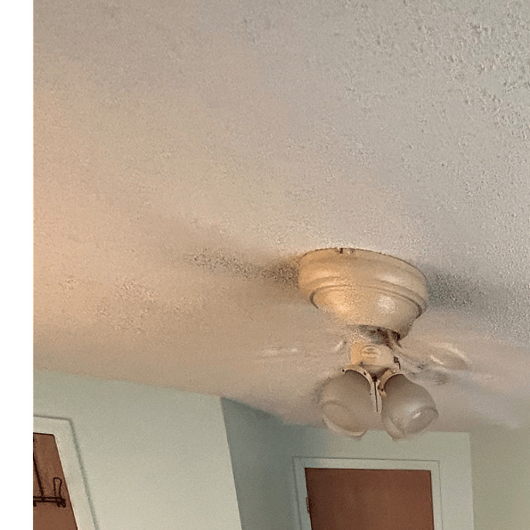 Furnished Finder property 314885_1 photo 15