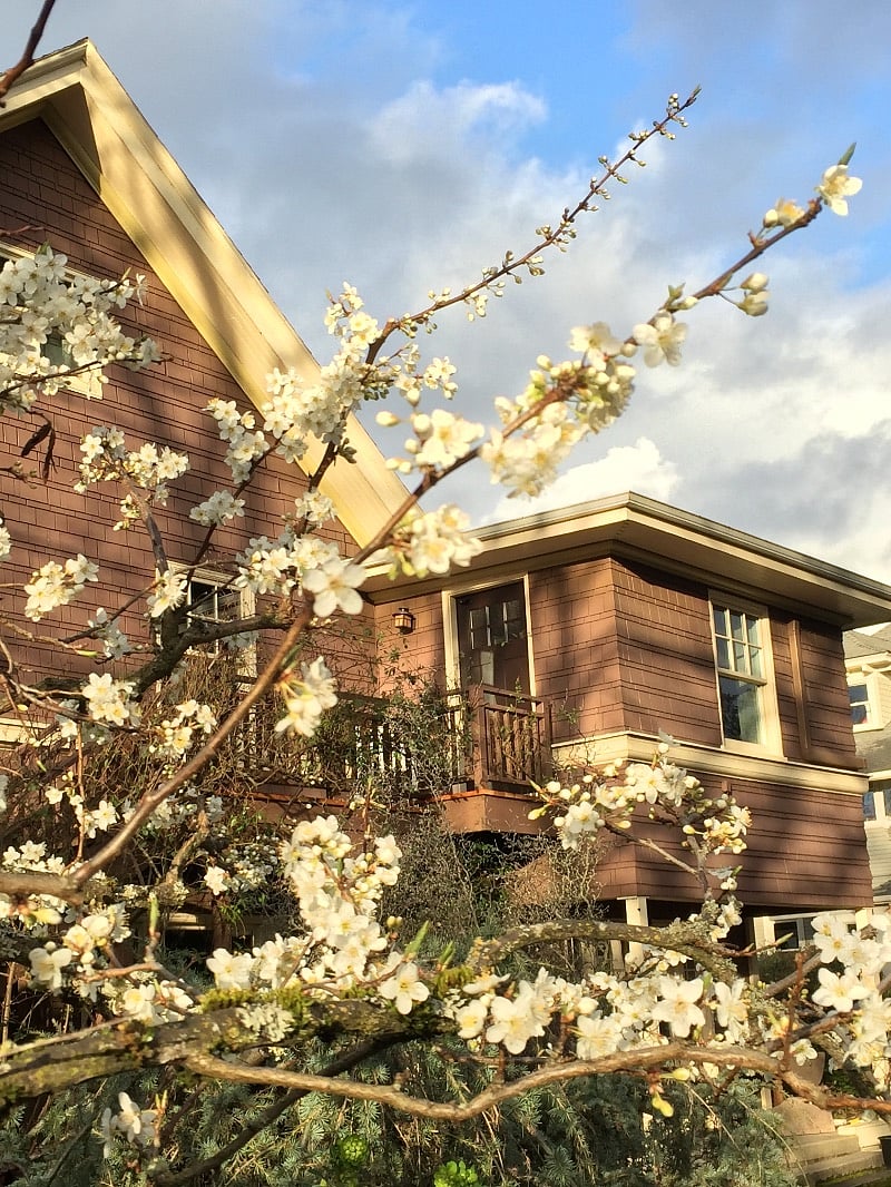 View past the blossoming plum to your private entrance