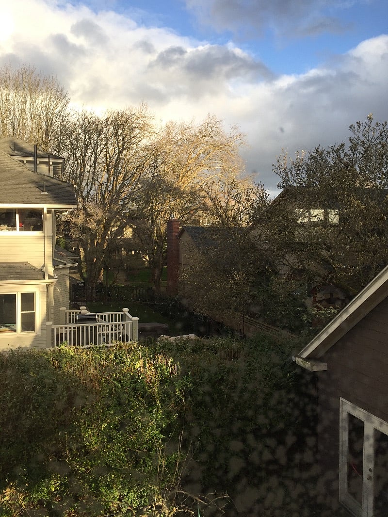 View from the living room windows over the neighborhood