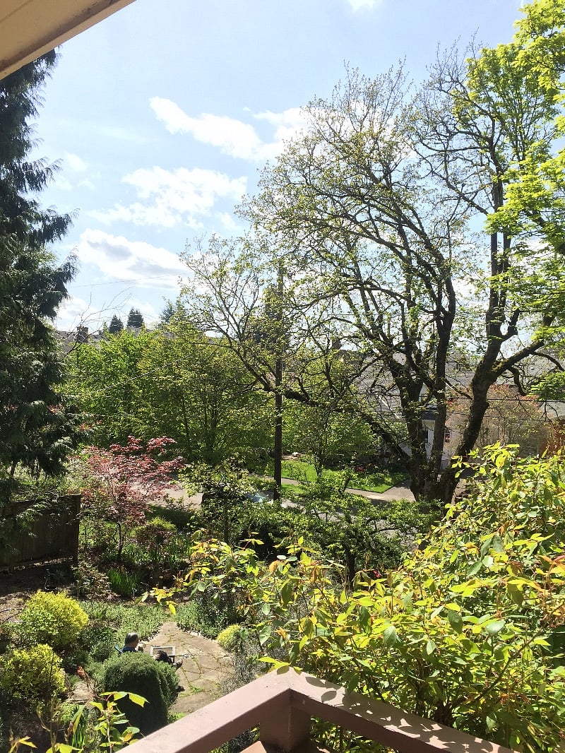 View from your balcony over the gardens and treetops