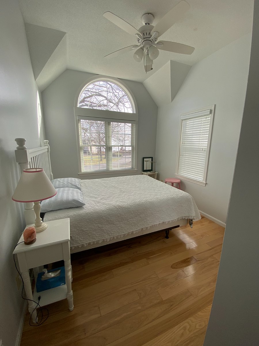 Furnished Finder property 314996_1 photo 18