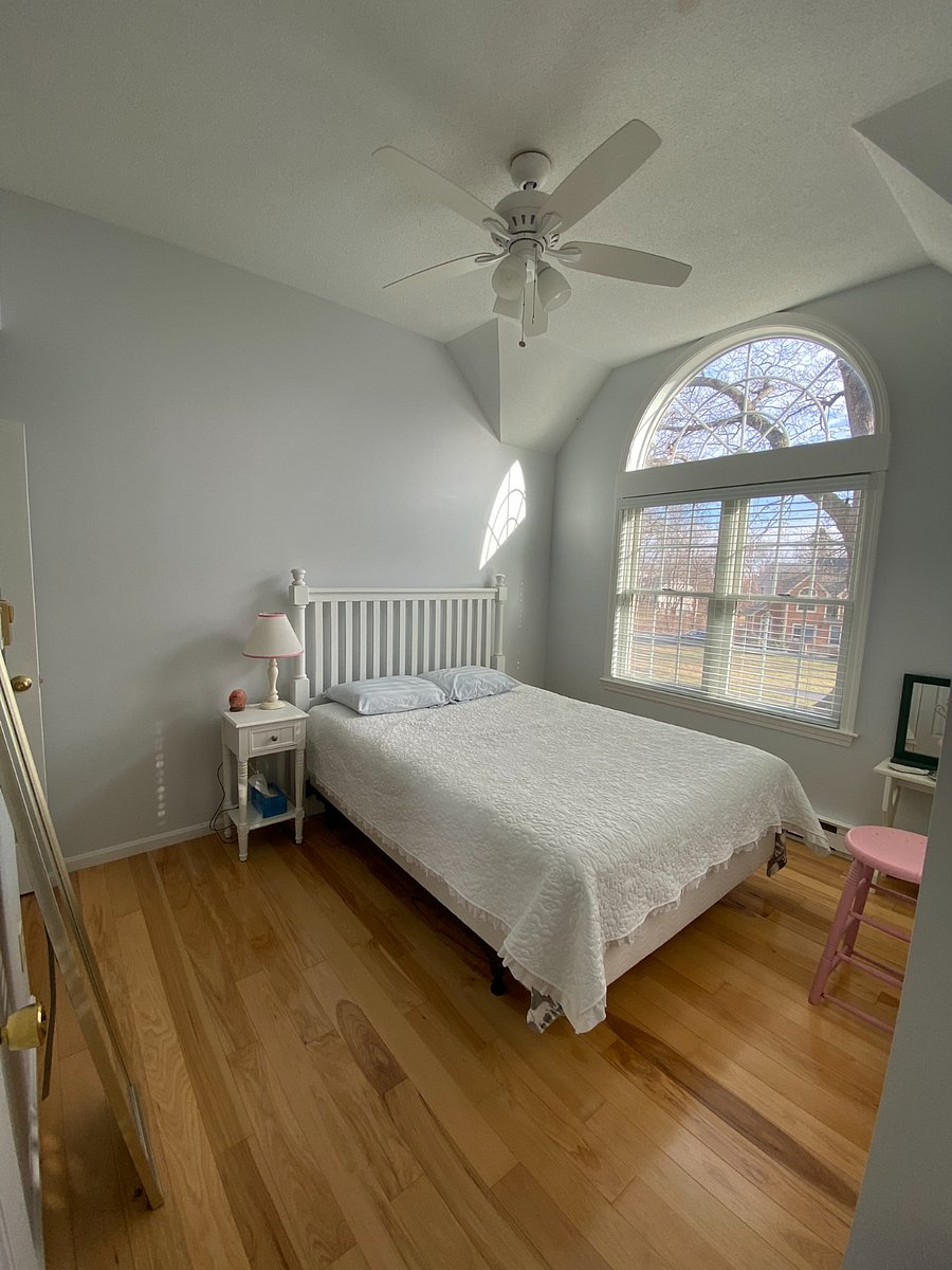 Furnished Finder property 314996_1 photo 19
