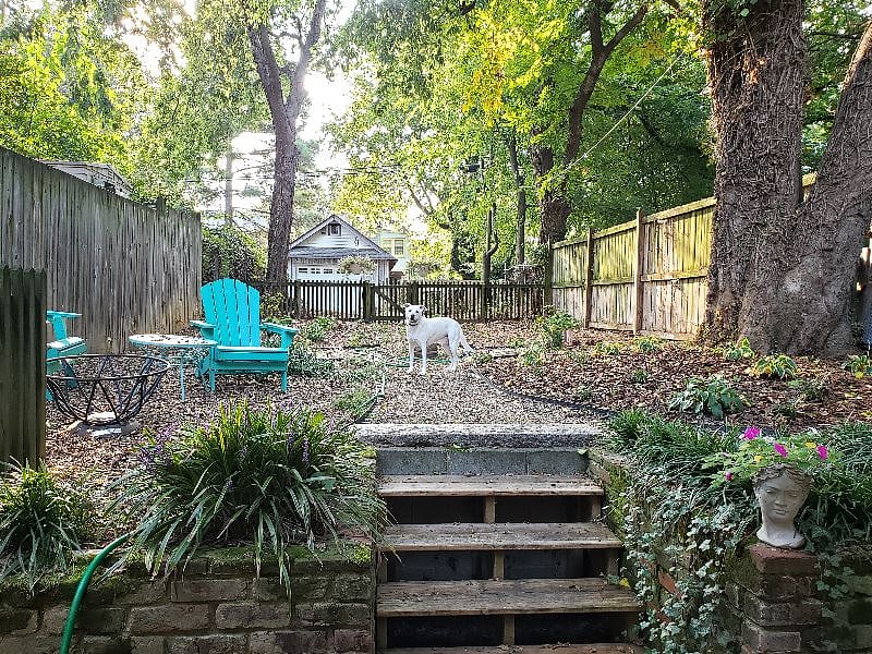 Peaceful, garden-like backyard