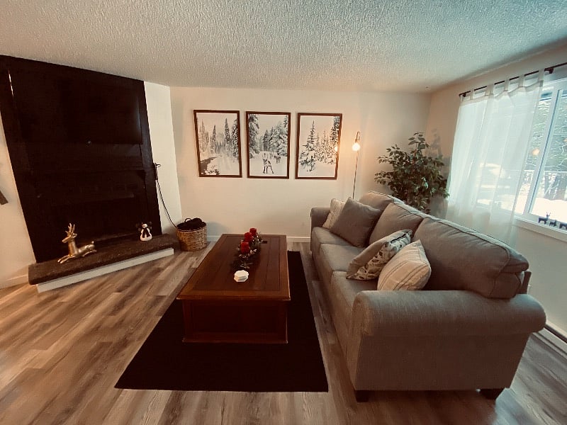 The couch turns into a queen size bed.