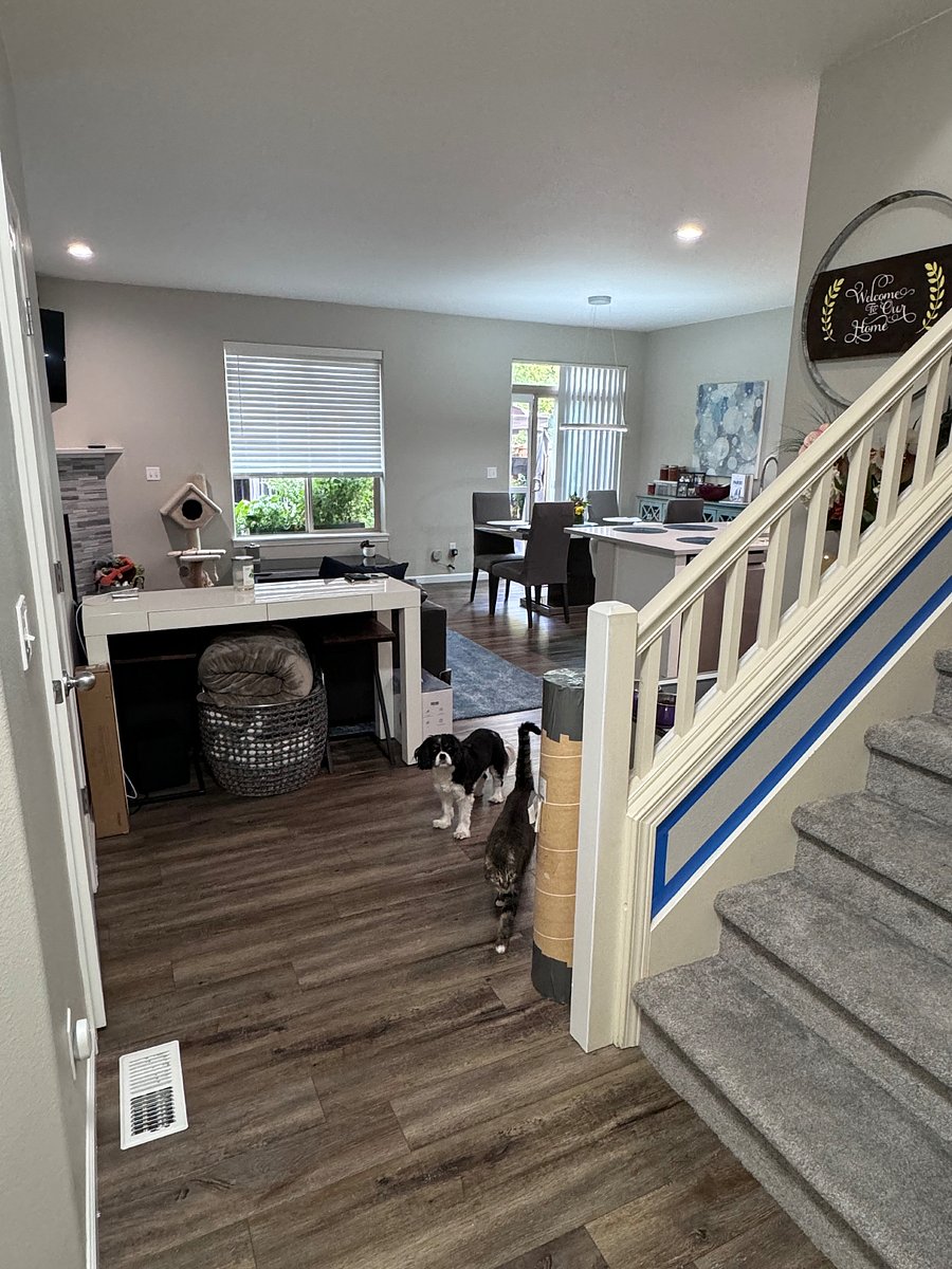 Furnished Finder property 315475_1 photo 5