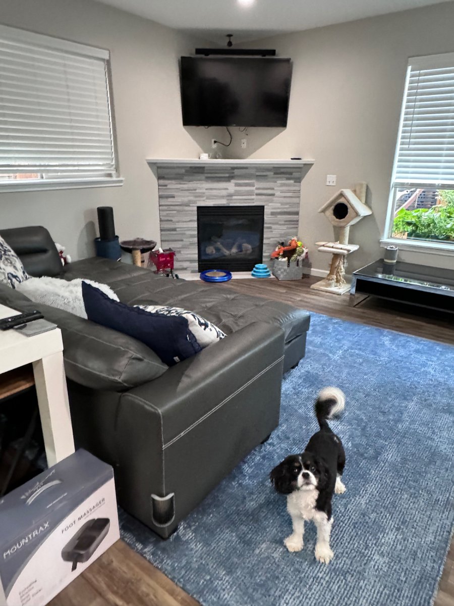 Furnished Finder property 315475_1 photo 6