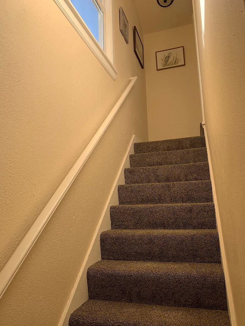 Furnished Finder property 315635_1 photo 9