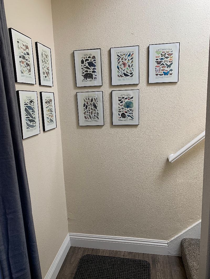 Furnished Finder property 315635_1 photo 3