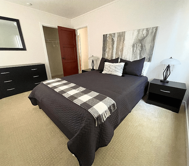 Furnished Finder property 315644_1 photo 13
