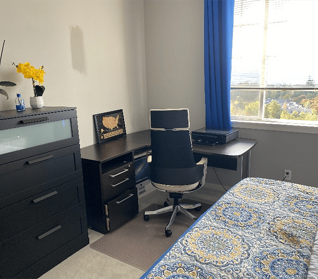 Furnished Finder property 315652_1 photo 4