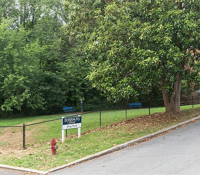 Community dog walking area