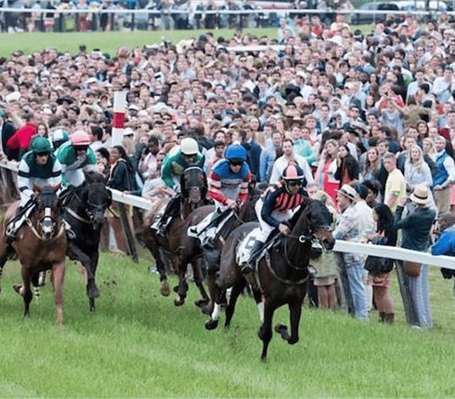 Foxfield Races, just a few miles from the property