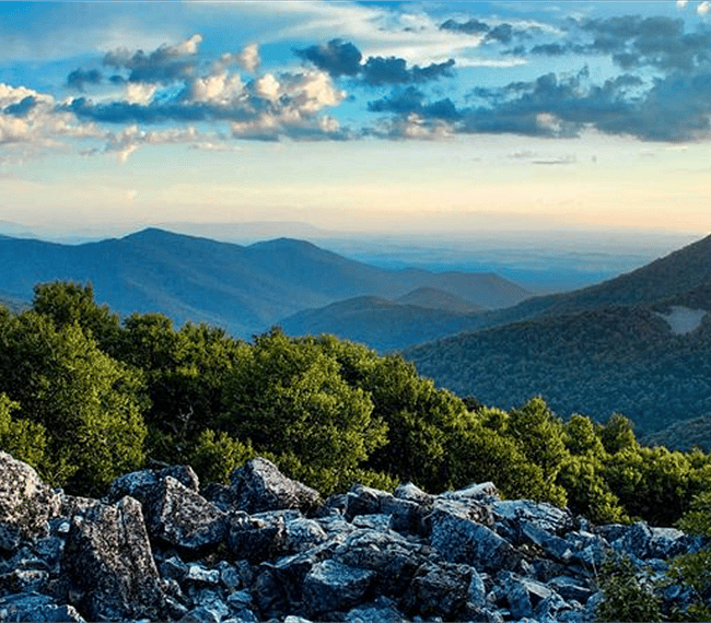 Less than 30 min drive to the Blue Ridge Mountains - amazing views and hiking