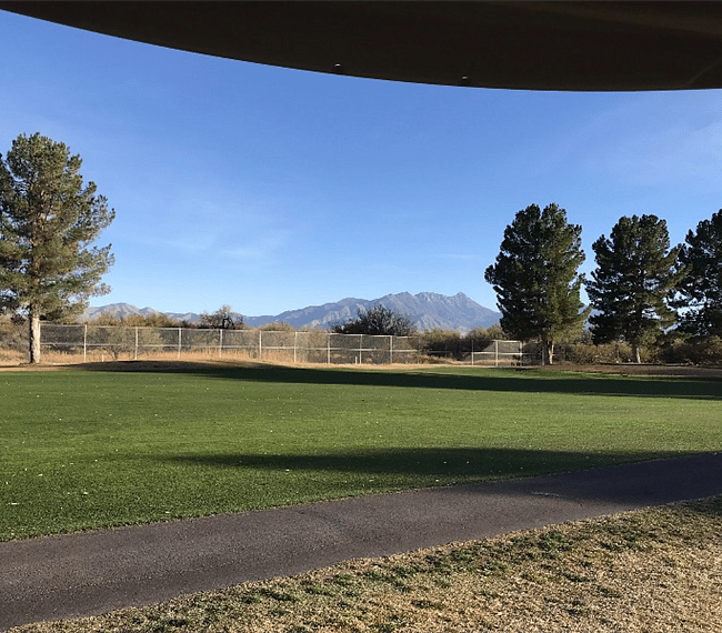 Many golf courses close by