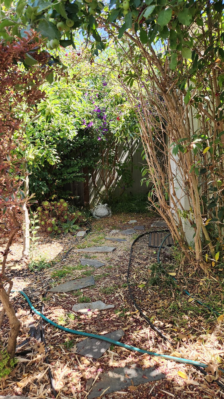 Furnished Finder property 315819_1 photo 13
