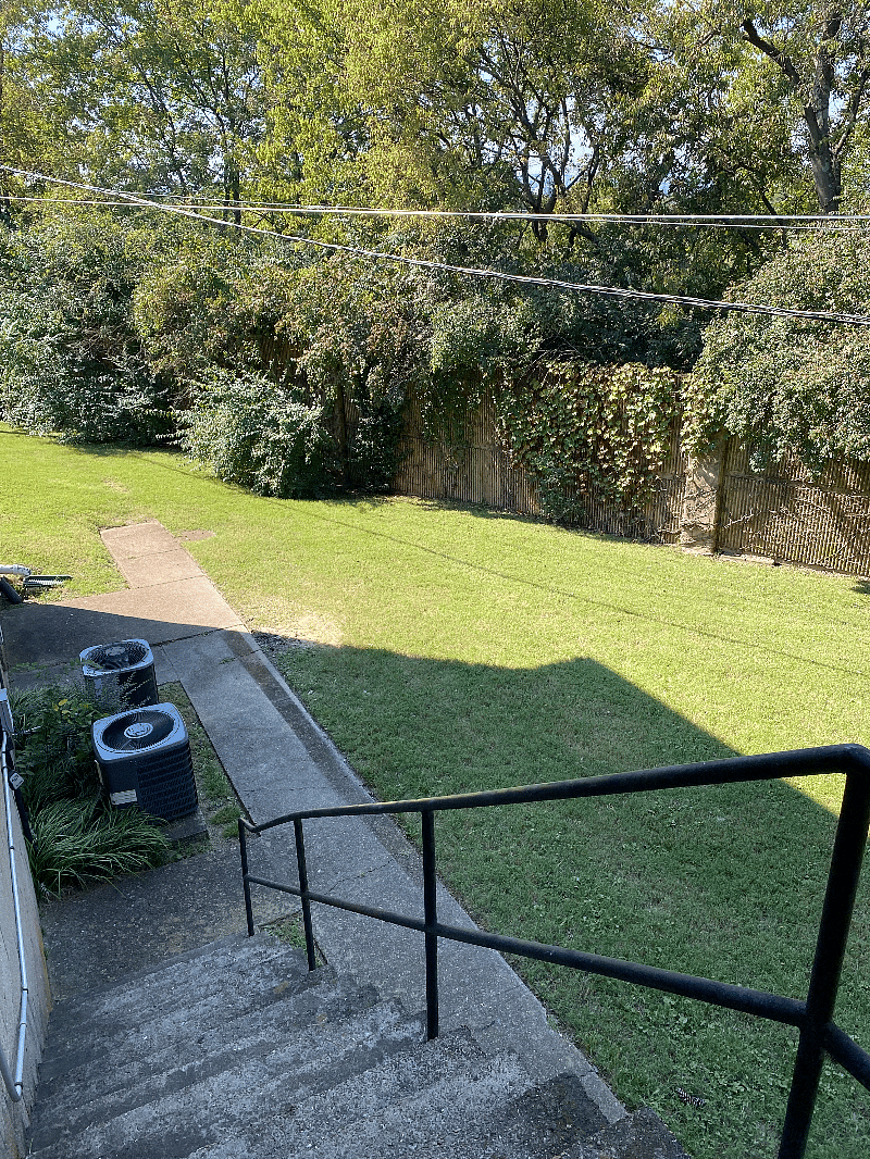 Furnished Finder property 315829_1 photo 23