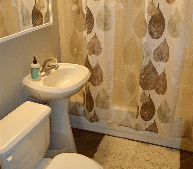Furnished Finder property 315923_1 photo 15