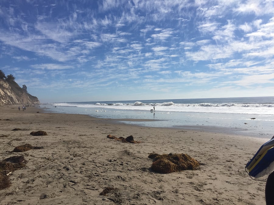 Hendry-s Beach is great any time of year!