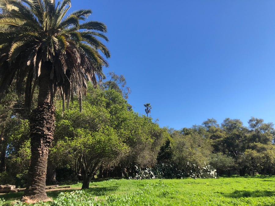 Douglas Preserve-your new Happy Place!
