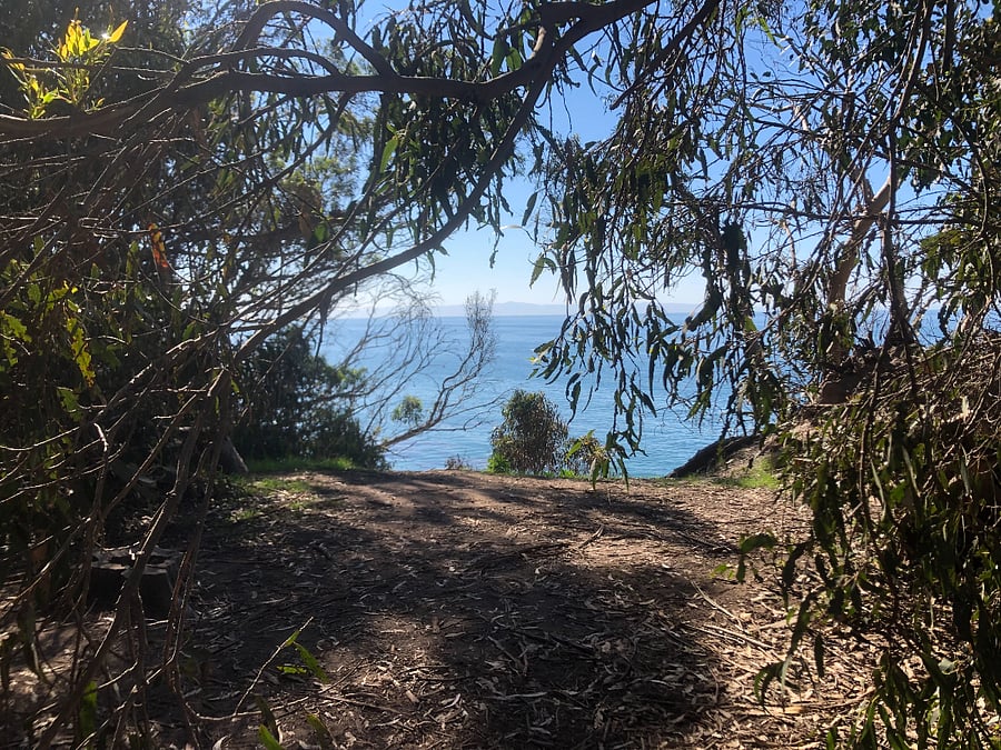 Douglas Preserve