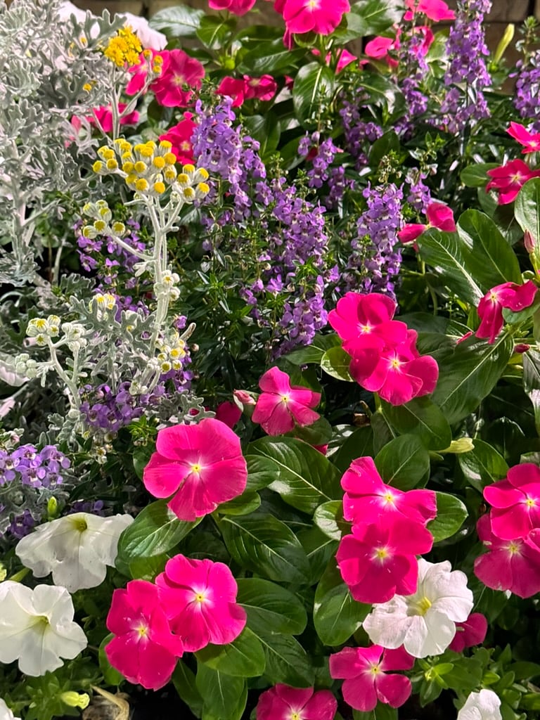 Property management replenishes seasonal fresh flowers, check out all the botanical installments.