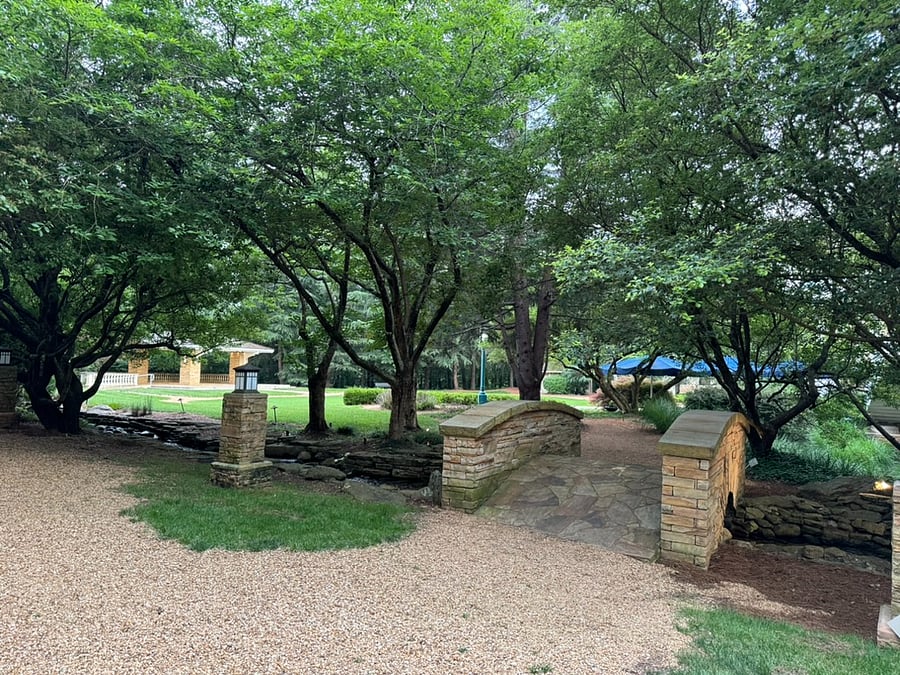 Plenty of beautiful walking trails.