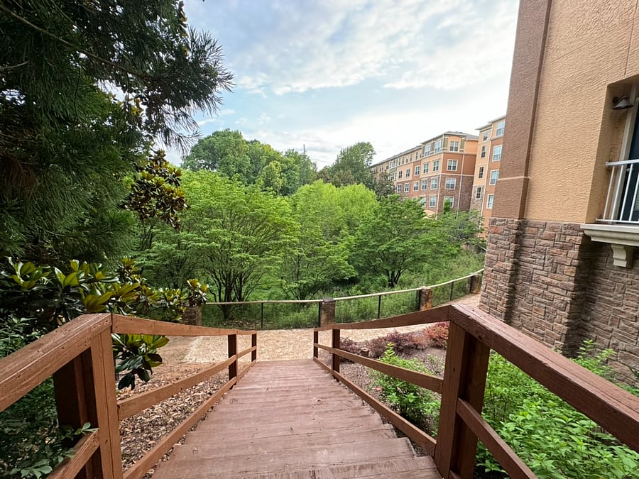 Enjoy a morning walk around the property and take in all the nature rich views.