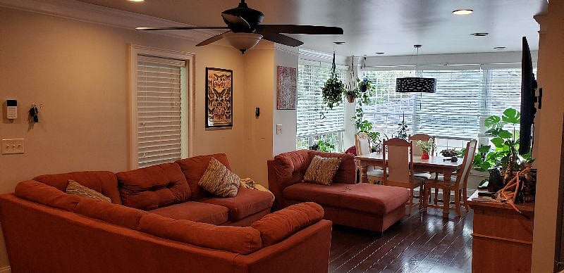 Furnished Finder property 316020_1 photo 3