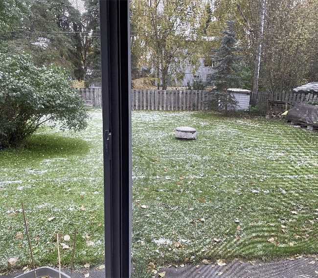 Looking out to shared back yard, firepit.
